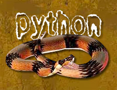Play Python
